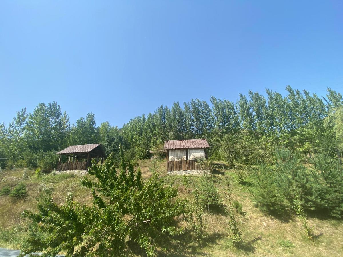 Hotel Nirvana Dilijan Ngoại thất bức ảnh