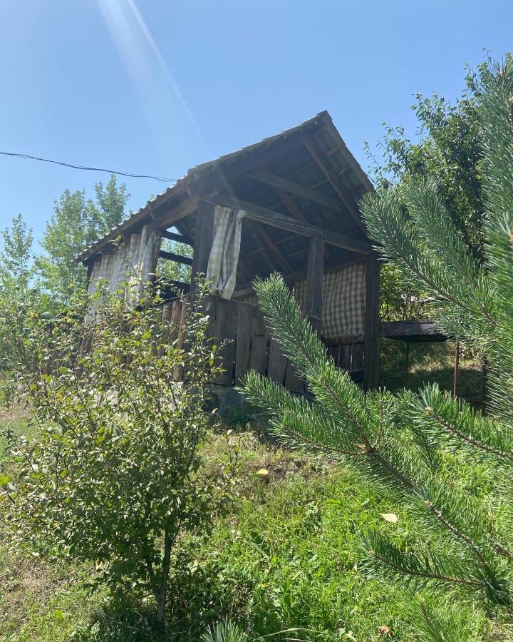 Hotel Nirvana Dilijan Ngoại thất bức ảnh